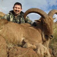 Barbary sheep - - Hoeksfontein Safaris - Trophy Hunting - South Africa (2)