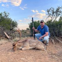 Fallow Deer - Hoeksfontein (1)