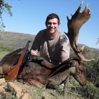 Fallow Deer - Hoeksfontein (10)