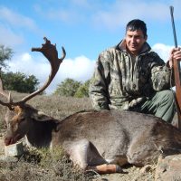 Fallow Deer - Hoeksfontein (11)