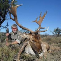 Fallow Deer - Hoeksfontein (12)