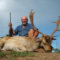 Fallow Deer - Hoeksfontein (14)