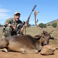 Fallow Deer - Hoeksfontein (19)