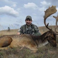 Fallow Deer - Hoeksfontein (20)