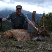 Fallow Deer - Hoeksfontein (3)