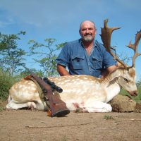 Fallow Deer - Hoeksfontein (4)