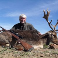 Fallow Deer - Hoeksfontein (5)