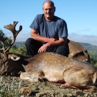 Fallow Deer - Hoeksfontein (6)