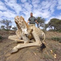 Giraffe - Hoeksfontein Safaris - Trophy Hunting - South Africa (2)