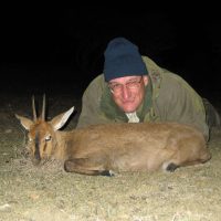 Grey Duiker - Hoeksfontein Safaris (2)