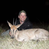 Grey Duiker - Hoeksfontein Safaris (6)