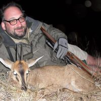 Grey Duiker - Hoeksfontein Safaris (7)