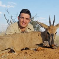 Grey Duiker - Hoeksfontein Safaris (8)