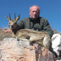 Klipspringer - Hoeksfontein Safaris (1)