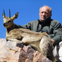 Klipspringer - Hoeksfontein Safaris (2)