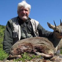 Klipspringer - Hoeksfontein Safaris (3)