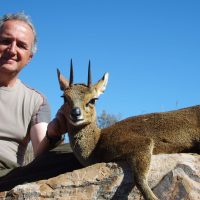 Klipspringer - Hoeksfontein Safaris (4)