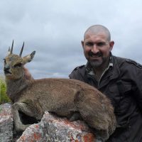 Klipspringer - Hoeksfontein Safaris (5)