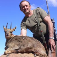 Klipspringer - Hoeksfontein Safaris (6)