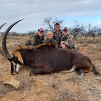 Sable - Hoeksfontein (3)