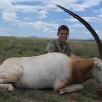 Scimitar Oryx - hoeksfontein za ec 2025 (6)