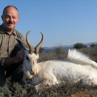 Springbuck - White - Hoeksfontein za ec (1)