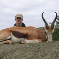 Springbuck - hoeksfontein safaris - za (16)