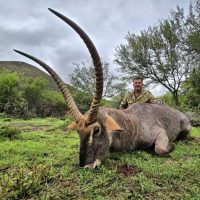 Waterbuck - Hoeksfontein Safari - South Africa (2)