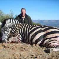 Zebra - Burchells - - Hoeksfontein Safaris - Trophy Hunting - South Africa (1)