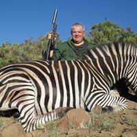 Zebra - Burchells - - Hoeksfontein Safaris - Trophy Hunting - South Africa (2)