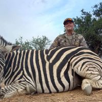 Zebra - Burchells - - Hoeksfontein Safaris - Trophy Hunting - South Africa (3)