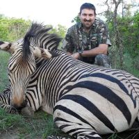 Zebra - Burchells - - Hoeksfontein Safaris - Trophy Hunting - South Africa (6)