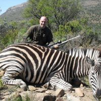 Zebra - Burchells - - Hoeksfontein Safaris - Trophy Hunting - South Africa (7)