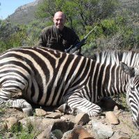 Zebra - Burchells - - Hoeksfontein Safaris - Trophy Hunting - South Africa (8)